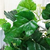 uploads/erp/collection/images/Home Garden/CongDing/XU0612357/img_b/XU0612357_img_b_3